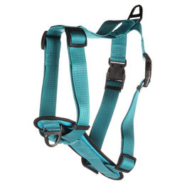 Flamingo Hunde-H-Geschirr Zorba türkis – Bild 1 von 3