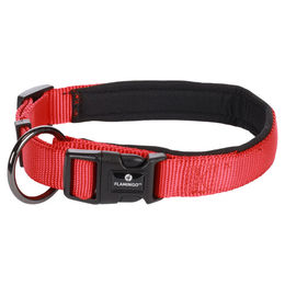 Flamingo Hunde-Halsband Abbi rot – Bild 1 von 2