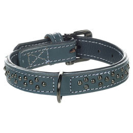 Flamingo Hunde-Halsband Denver mit Nieten blau – Bild 1 von 4