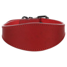 Flamingo Hunde-Halsband Denver rot – Bild 1 von 4