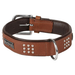 Flamingo Hunde-Halsband Sedona Leder mit Nieten braun – Bild 1 von 2