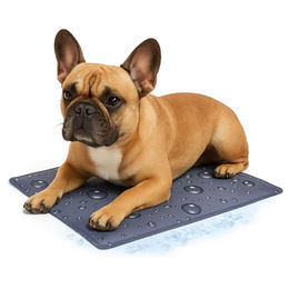 Flamingo Hunde Kühlmatte Drop Grau S 50x40cm – Bild 1 von 6