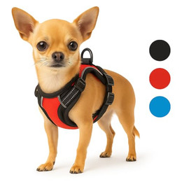 Produktbild von Flamingo Hundegeschirr Balou Rot XS für kleine Hunde - 15 mm