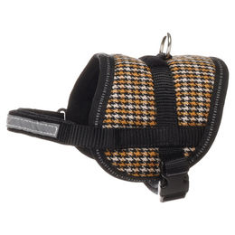 Flamingo Hundegeschirr Eeny Meeny Gelb & Schwarz M – Bild 1 von 4