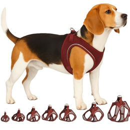 Flamingo Hundegeschirr Step&Go Bento Aubergine Größe L – Bild 1 von 8