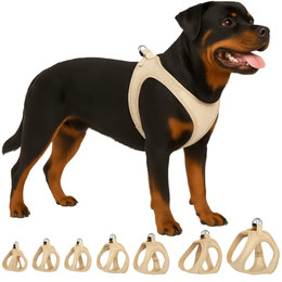 Produktbild von Flamingo Hundegeschirr Step&Go Bento Beige XXL