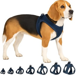 Produktbild von Flamingo Hundegeschirr Step&Go Bento Dunkelblau Größe L