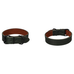 Produktbild von Flamingo Hundehalsband Montana grün, Größe: L