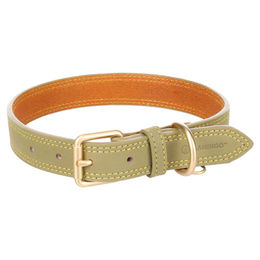 Flamingo Hundehalsband Virginia grün L 43-53cm 25mm – Bild 1 von 7