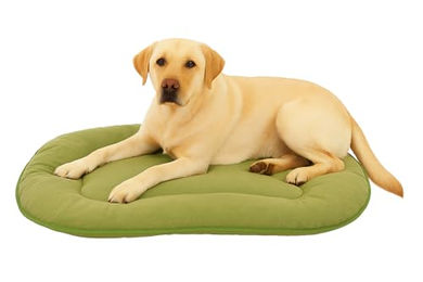 Flamingo Hundekissen Firenze Dünn Oval Grün - 1 Stk. – Bild 1 von 5