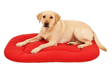 Flamingo Hundekissen Firenze Dünn Oval Rot – Bild 1 von 4