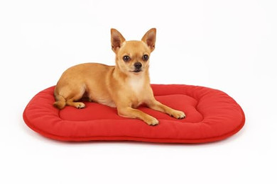 Produktbild von Flamingo Hundekissen Firenze Dünn Oval Rot - 1 Stk.
