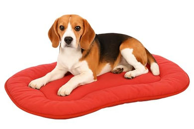 Flamingo Hundekissen Firenze Dünn Oval Rot – Bild 1 von 5