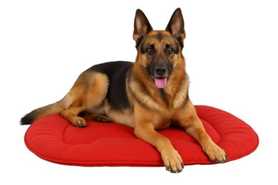 Flamingo Hundekissen Firenze Dünn Oval Rot – Bild 1 von 5