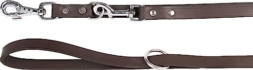 Produktbild von Flamingo Hundeleine Rondo genietet braun - 200 cm