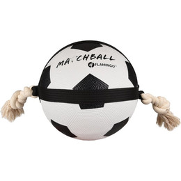 Produktbild von Flamingo Hundespielzeug Matchball Fußball 22 cm