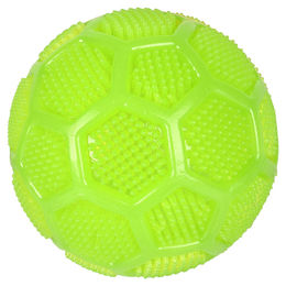 Flamingo Hundespielzeug TPR Dental Squeaky Ball grün – Bild 1 von 2