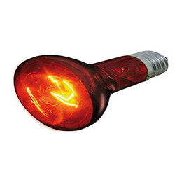 Produktbild von Flamingo Infrarotspot Infrared Beam 100 W - 100 Stk.