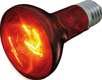 Produktbild von Flamingo Infrarotspot Infrared Beam 75 W - 75 Stk.