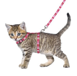 Produktbild von Flamingo Kätzchen-Geschirr mit Leine Alfry