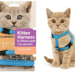 Produktbild von Flamingo Katzengeschirr mit Leine Elza Blau für Kätzchen