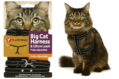 Produktbild von Flamingo Katzengeschirr mit Leine Elza Schwarz für große Katzen