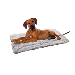 Produktbild von Flamingo Kissen Stella Rechteck Grau & Weiß