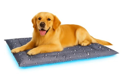 Produktbild von Flamingo Kühlbett Fresk Drop grau XL