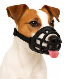 Flamingo Maulkorb Benzo schwarz – Bild 1 von 6