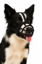 Flamingo Maulkorb Benzo schwarz – Bild 1 von 6