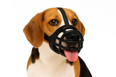 Flamingo Maulkorb Benzo schwarz – Bild 1 von 6