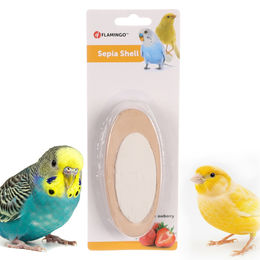 Produktbild von Flamingo - Mineralstein und Sepiaschale - 70 g