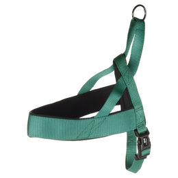 Flamingo Norweger-Geschirr Abbi dunkelgrün Größe M – Bild 1 von 3