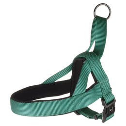 Flamingo Norweger-Geschirr Abbi dunkelgrün XS – Bild 1 von 3