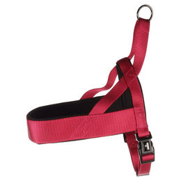 Flamingo Norweger-Geschirr Abbi kirschrot Größe M – Bild 1 von 3