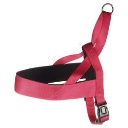 Flamingo Norweger-Geschirr Abbi kirschrot XL – Bild 1 von 3