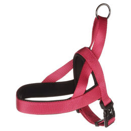 Flamingo Norweger-Geschirr Abbi kirschrot XS – Bild 1 von 3