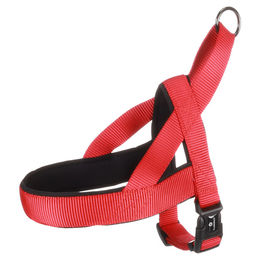 Flamingo Norweger-Geschirr Abbi rot – Bild 1 von 4