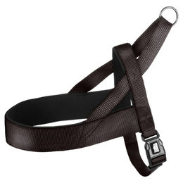 Flamingo Norweger-Geschirr Abbi schwarz XL – Bild 1 von 3