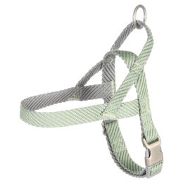 Flamingo Norweger-Geschirr Elly hellgrün – Bild 1 von 3