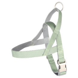 Produktbild von Flamingo Norweger-Geschirr Elly hellgrün Größe L