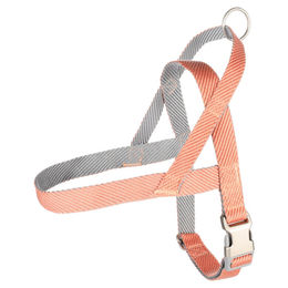 Flamingo Norweger-Geschirr Elly lachsrosa XL – Bild 1 von 4