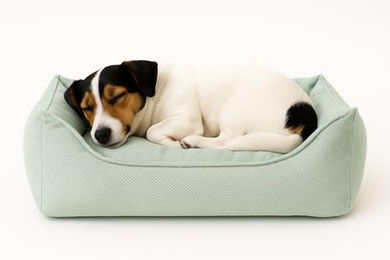 Flamingo Orthopädisches Hundebett Baldar Rechteckig Grün 65 cm - 65 cm – Bild 1 von 3