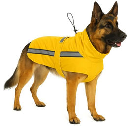 Flamingo Regenmantel Ciro Gelb 80 cm – Bild 1 von 4