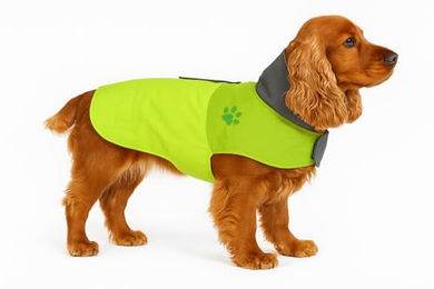 Flamingo Regenmantel Juno grün – Bild 1 von 3