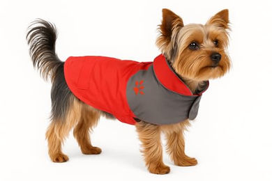 Flamingo Regenmantel Juno rot – Bild 1 von 3