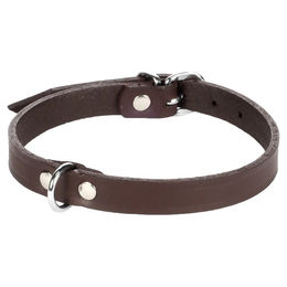 Produktbild von Flamingo Seattle Halsband dunkelbraun, Maße: 26-31 cm / 12 mm