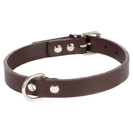 Produktbild von Flamingo Seattle Halsband dunkelbraun, Maße: 44-51 cm / 20 mm