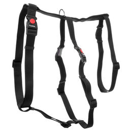 Produktbild von Flamingo Sicherheitsgeschirr Zera schwarz, Größe: XL