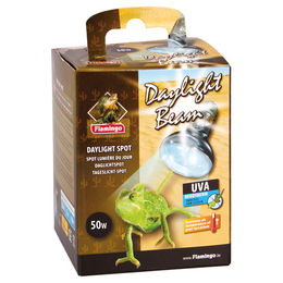 Flamingo Tageslicht-Spot 50 W – Bild 1 von 2